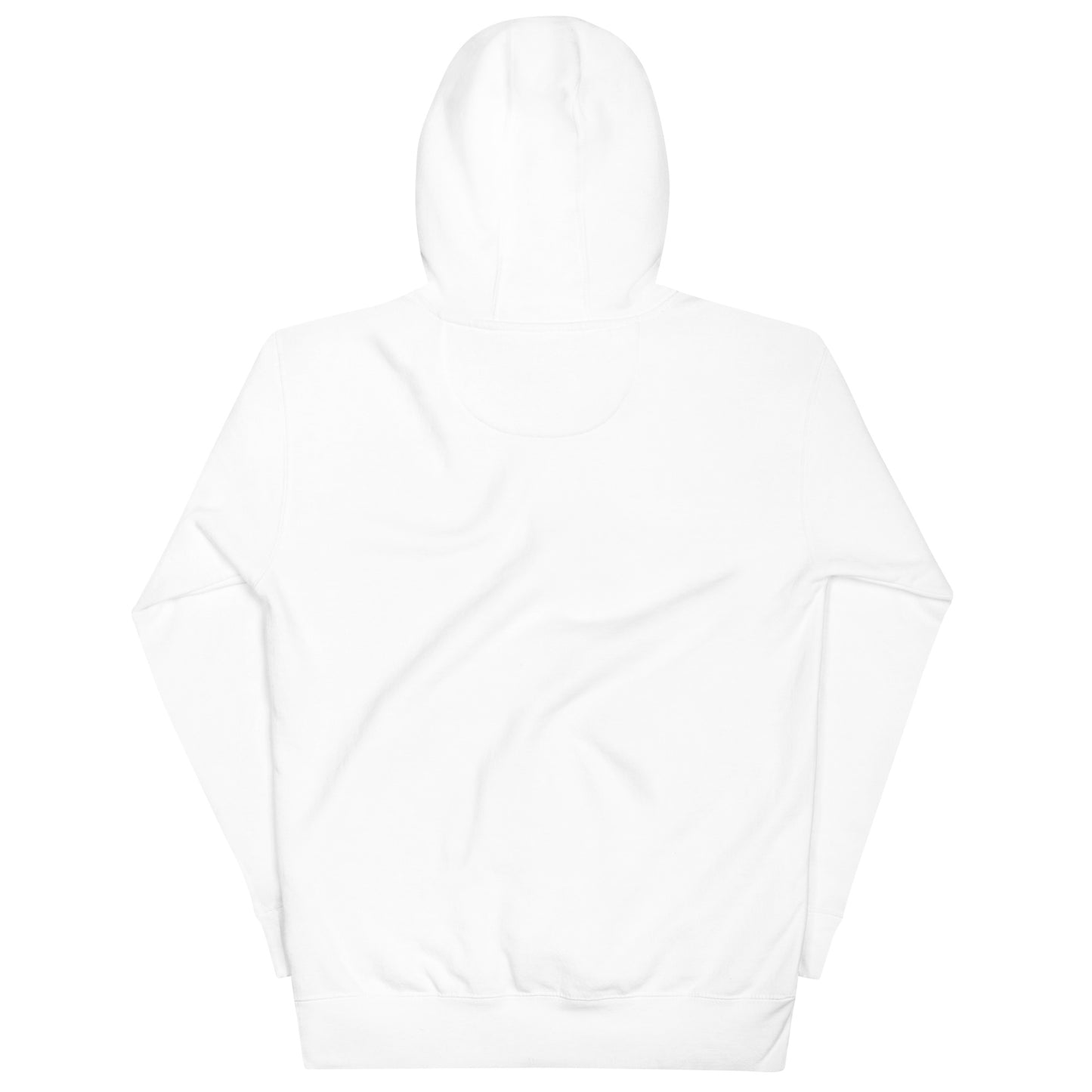 Vibxs Oasis Unisex Hoodie - FLAKOUT